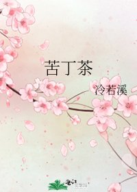 苦丁茶