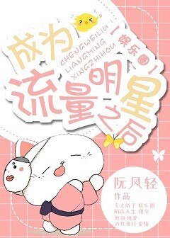 成为流量明星之后[娱乐圈]
