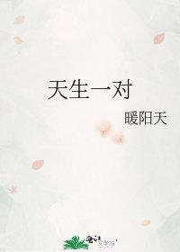 天生一对